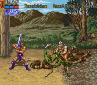 Classic fantasy action game gameplay scene.