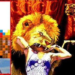 Lion and tiger themed puzzle game with a girl celebrating victory.