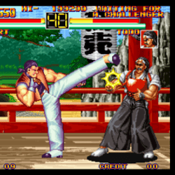Art of Fighting