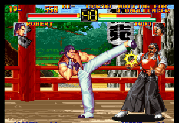 Art of Fighting