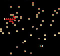 Centipede