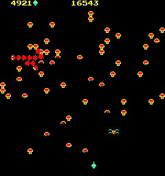 Centipede