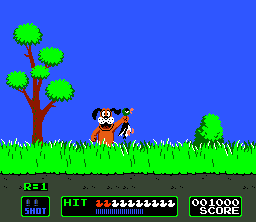 Duck Hunt