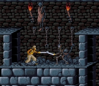 A knight fighting a skeleton in a dark dungeon with torches and chains.