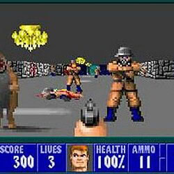 1. Classic 3D first-person shooter game with enemies and gun combat.