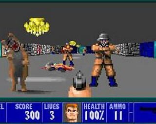 1. Classic 3D first-person shooter game with enemies and gun combat.