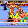 WWF WrestleFest