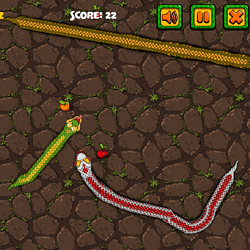 Snake Attack